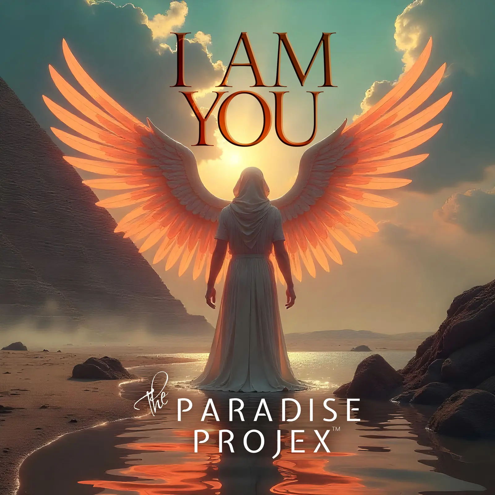 The Paradise Projex - I Am You. CD album record.